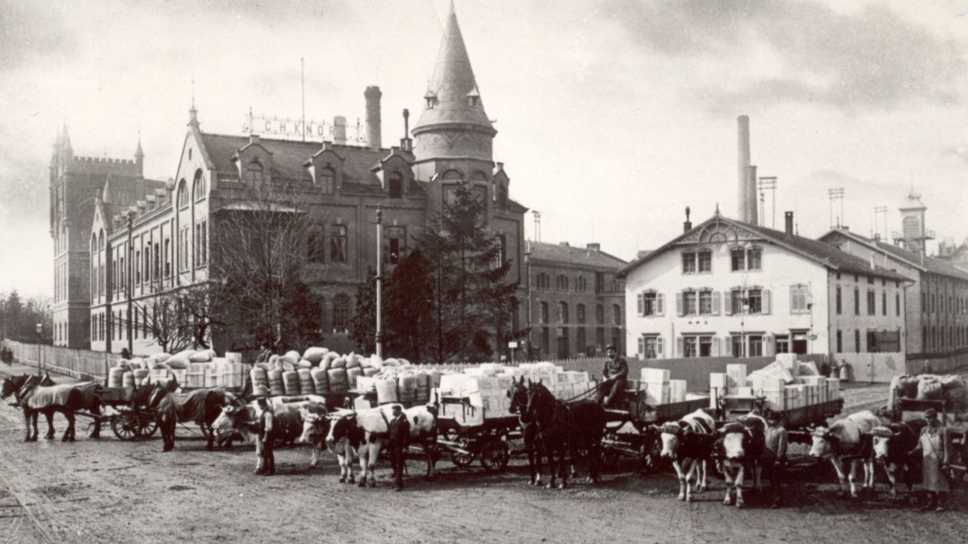 Zwart-wit afbeelding van ossen- en paardenkarren gevuld met Knorr-producten buiten de fabriek in Heilbronn in de 19e eeuw.