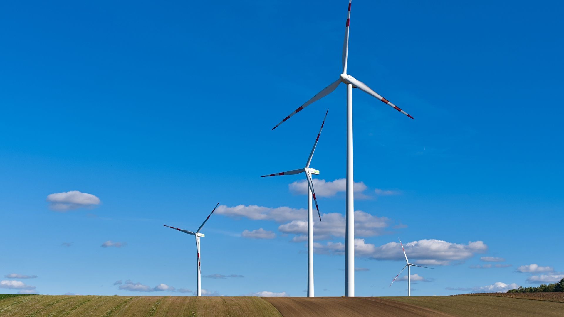 Een rij windturbines staat in een omgeploegd veld, tegen een helderblauwe lucht