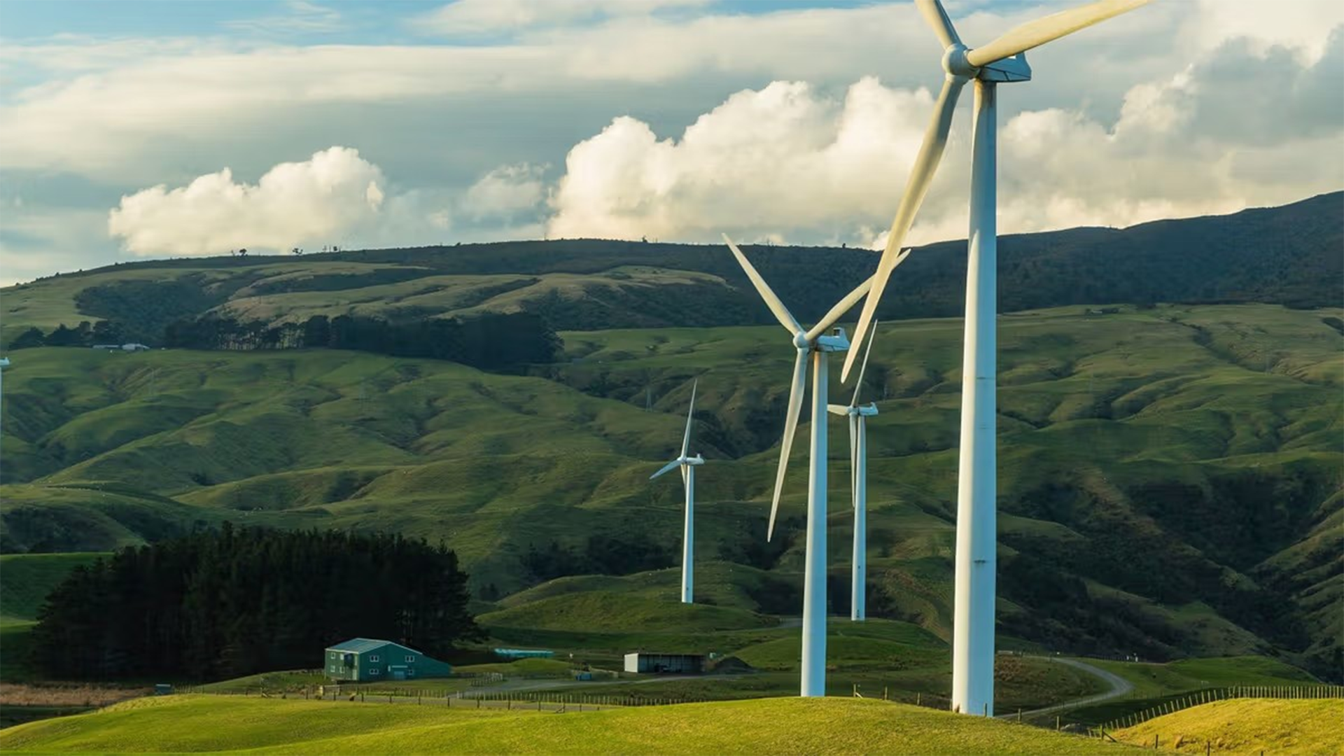 Tussen groene velden staan verschillende windmolens die hernieuwbare energie opwekken, een belangrijk onderdeel van de klimaatactieplannen van veel bedrijven.